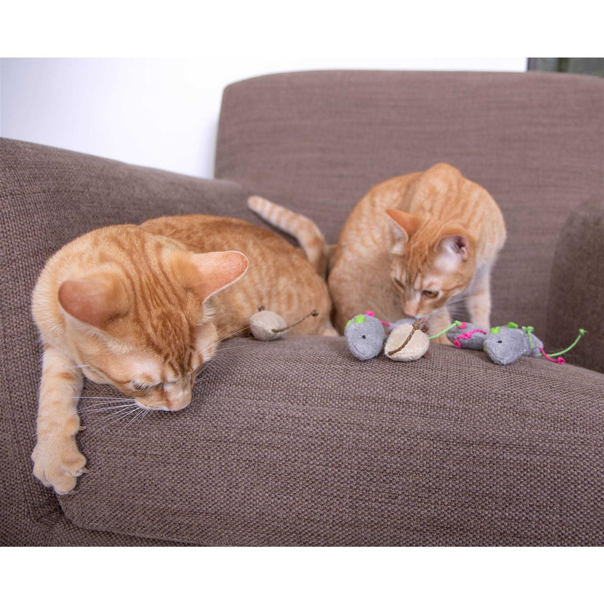 Catnip Cat Toys D240