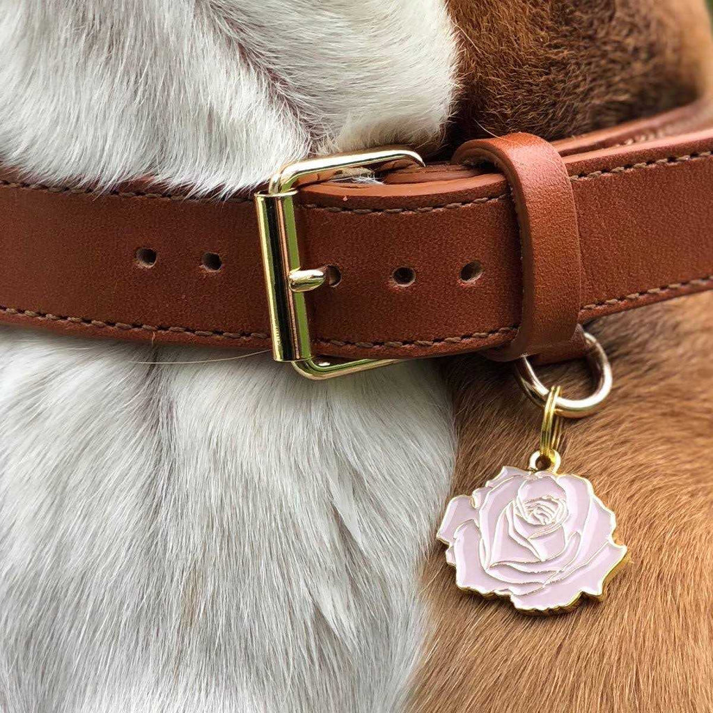 Rose Pet W379