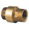 Spring Check Valve, Brass, 2-1/2 M61344