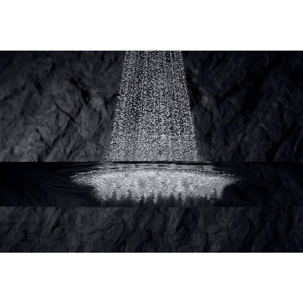 Oil-Rubbed Bronze Multifunction Handshower X161219