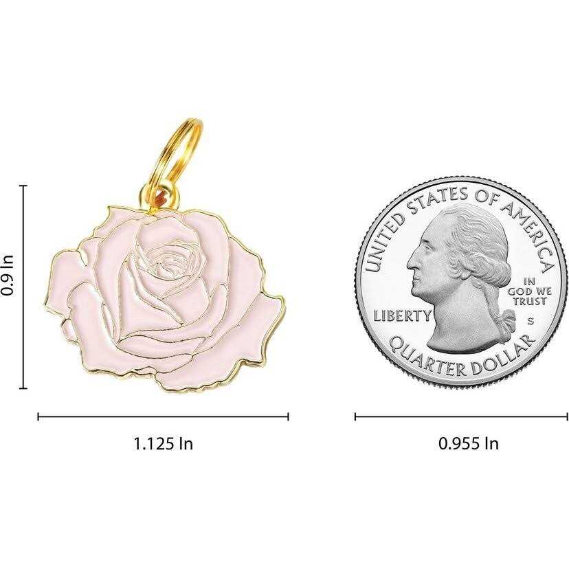 Rose Pet W379