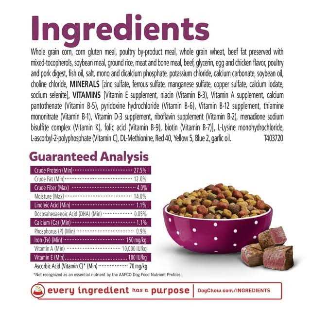 Real Beef Dry Puppy Food V94660