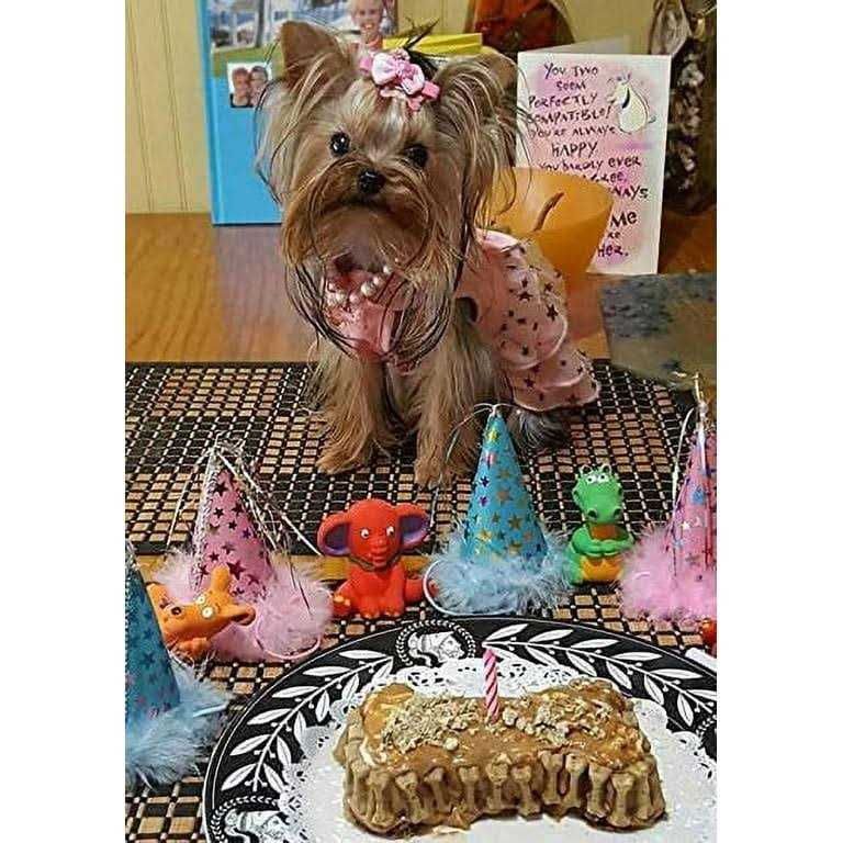 Birthday Cake Kit For Dogs S613