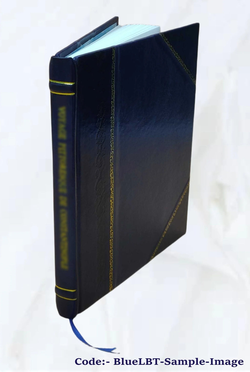 Catalogue of Norse Manuscripts P84255
