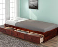 Twin Platform Bed with 3 Drawers (Espresso) A1929