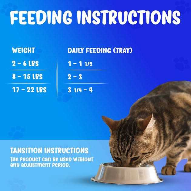 Icelandic Fish Recipe Wet Cat Food I299811