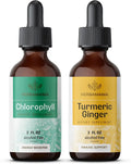 Chlorophyll Extract & Turmeric Ginger Tincture 2 fl oz V6907