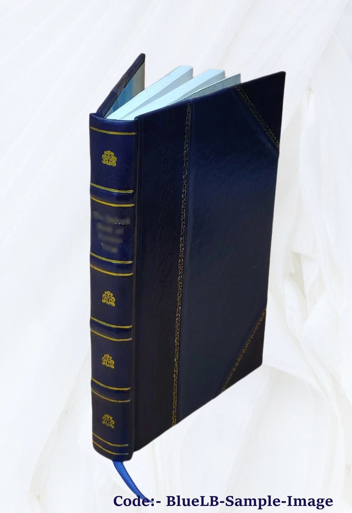 Law Reports Volume 5 1899 Leather Bound Y145128