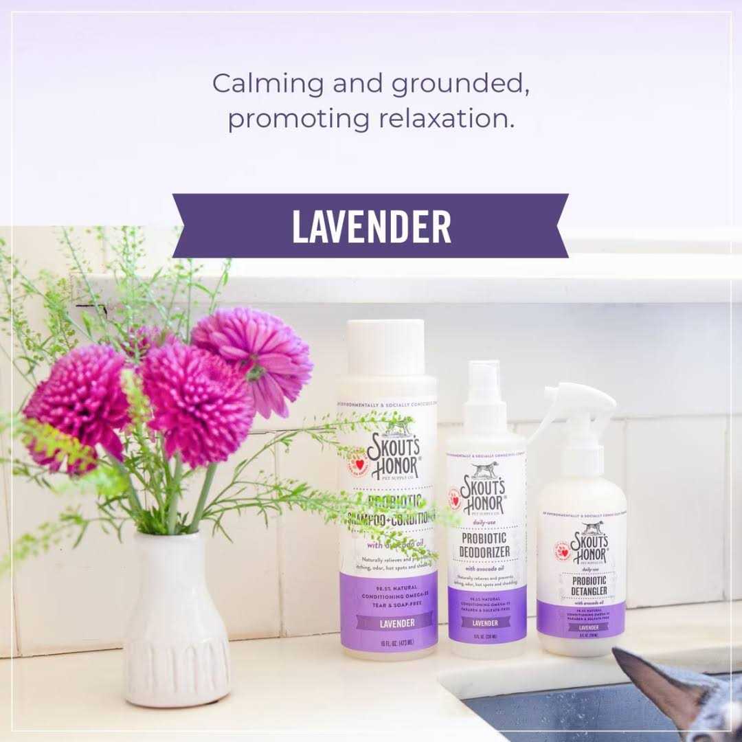 Probiotic Detangler K999207