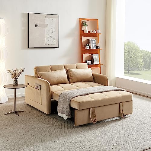 Velvet 3 in 1 Pull-Out Sleeper Sofa Chair B51496
