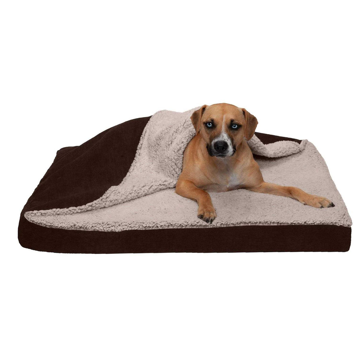 Berber & Suede Blanket Top Dog Bed C18951