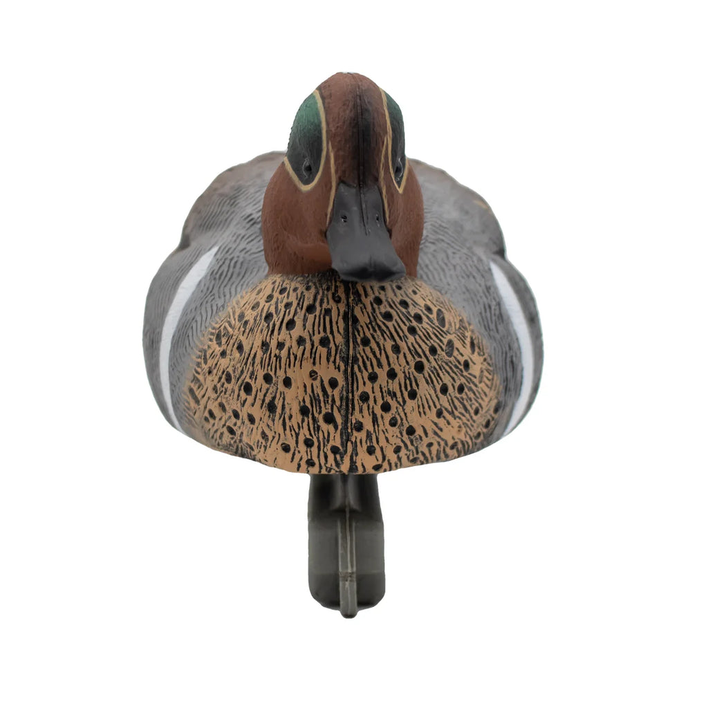 12 Pack Greenwing Teal Floater Duck Decoys V955345