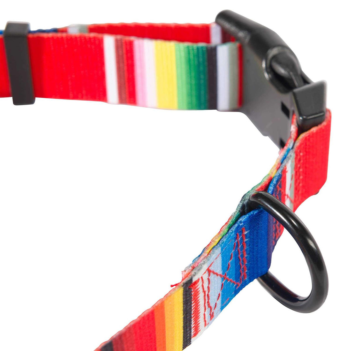 Dog Collar H5515