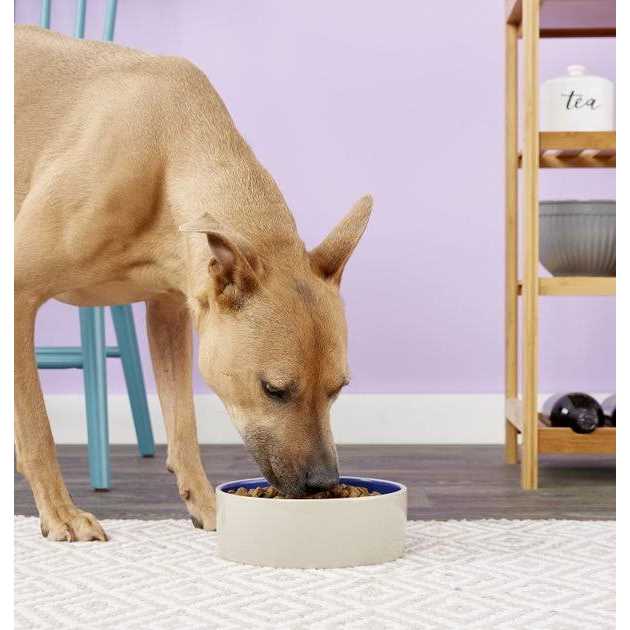 Dog Dish R1537