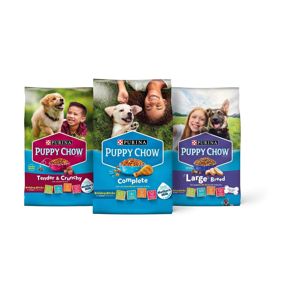 Real Beef Dry Puppy Food V94660