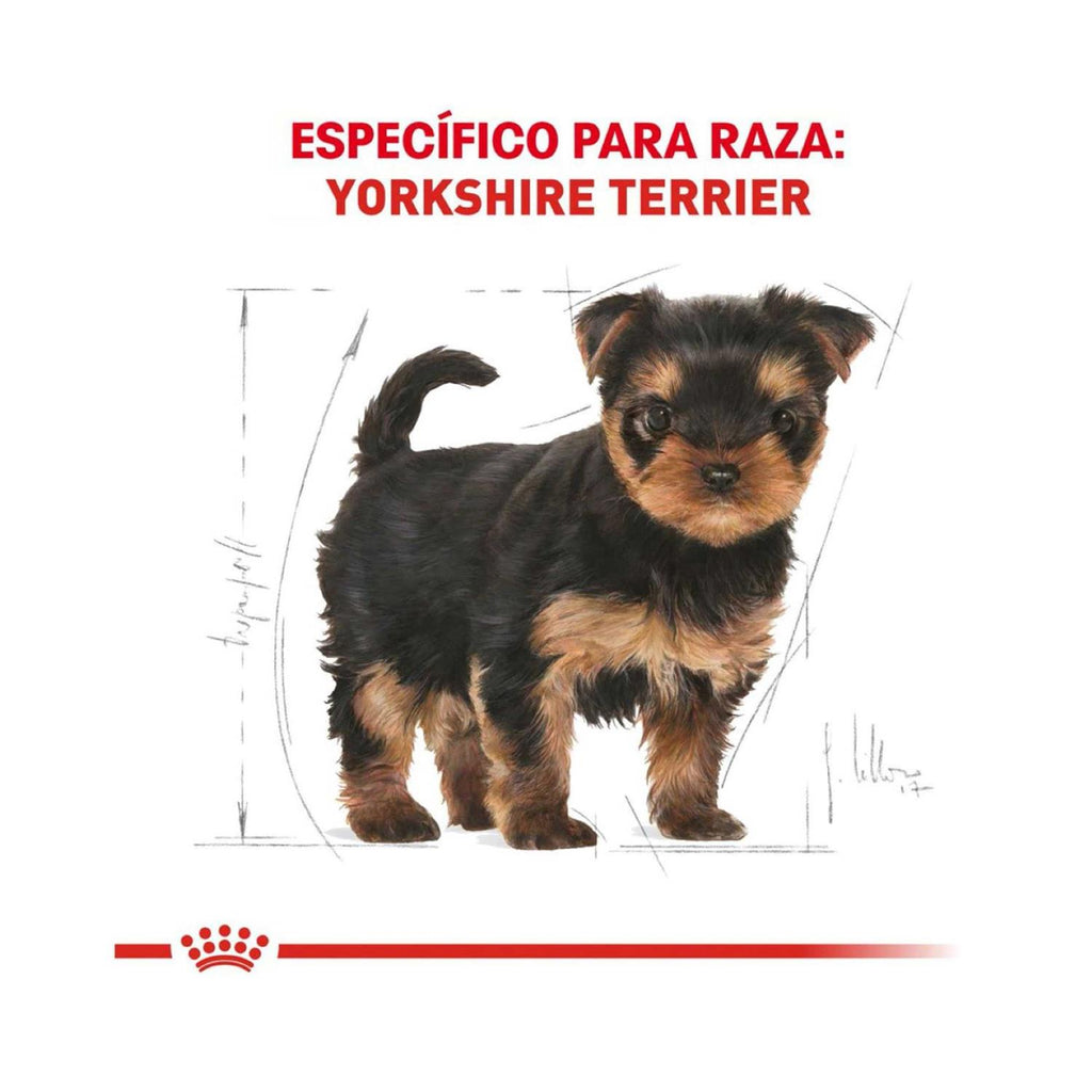 Yorkshire Terrier Puppy Dry Dog Food F4351
