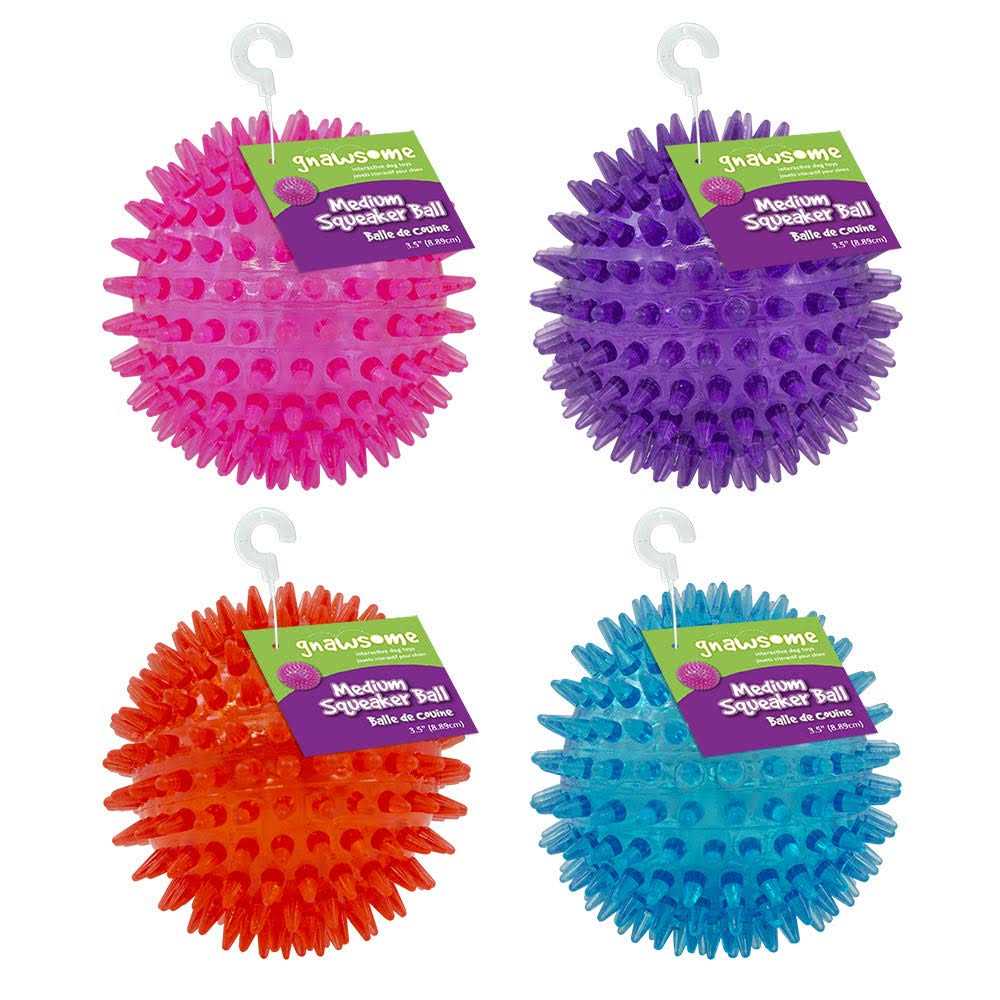 Squeaker Ball Dog Toy T677