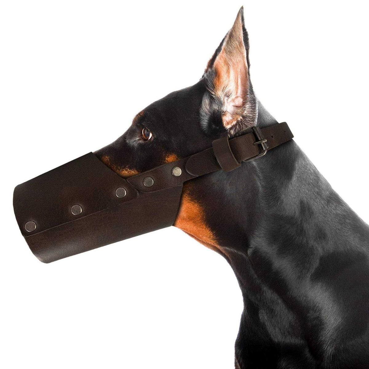 Leather Dog Muzzle A8440