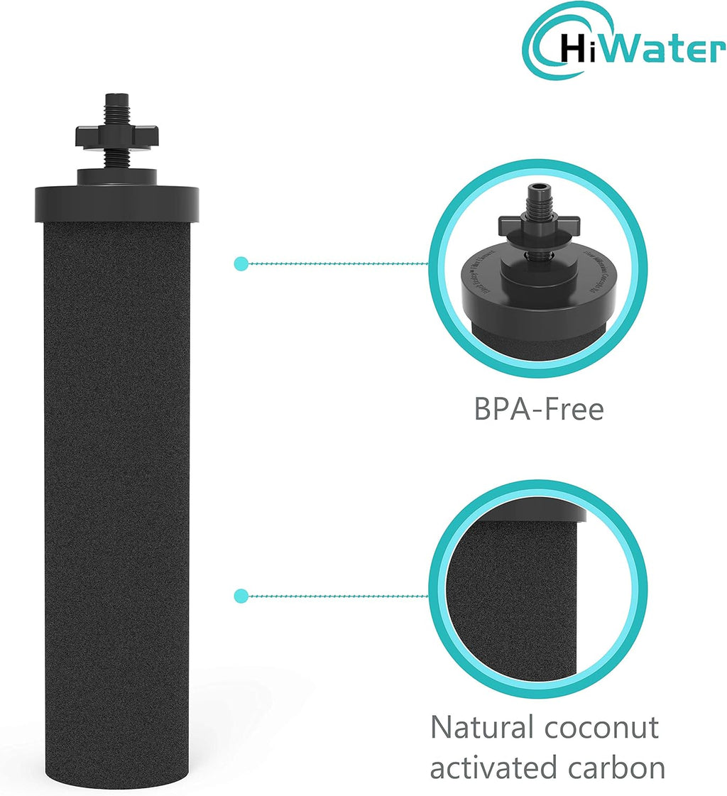 BB9-2 Water Filter Replacement Gravity System Filters (2 Pack) Q899100