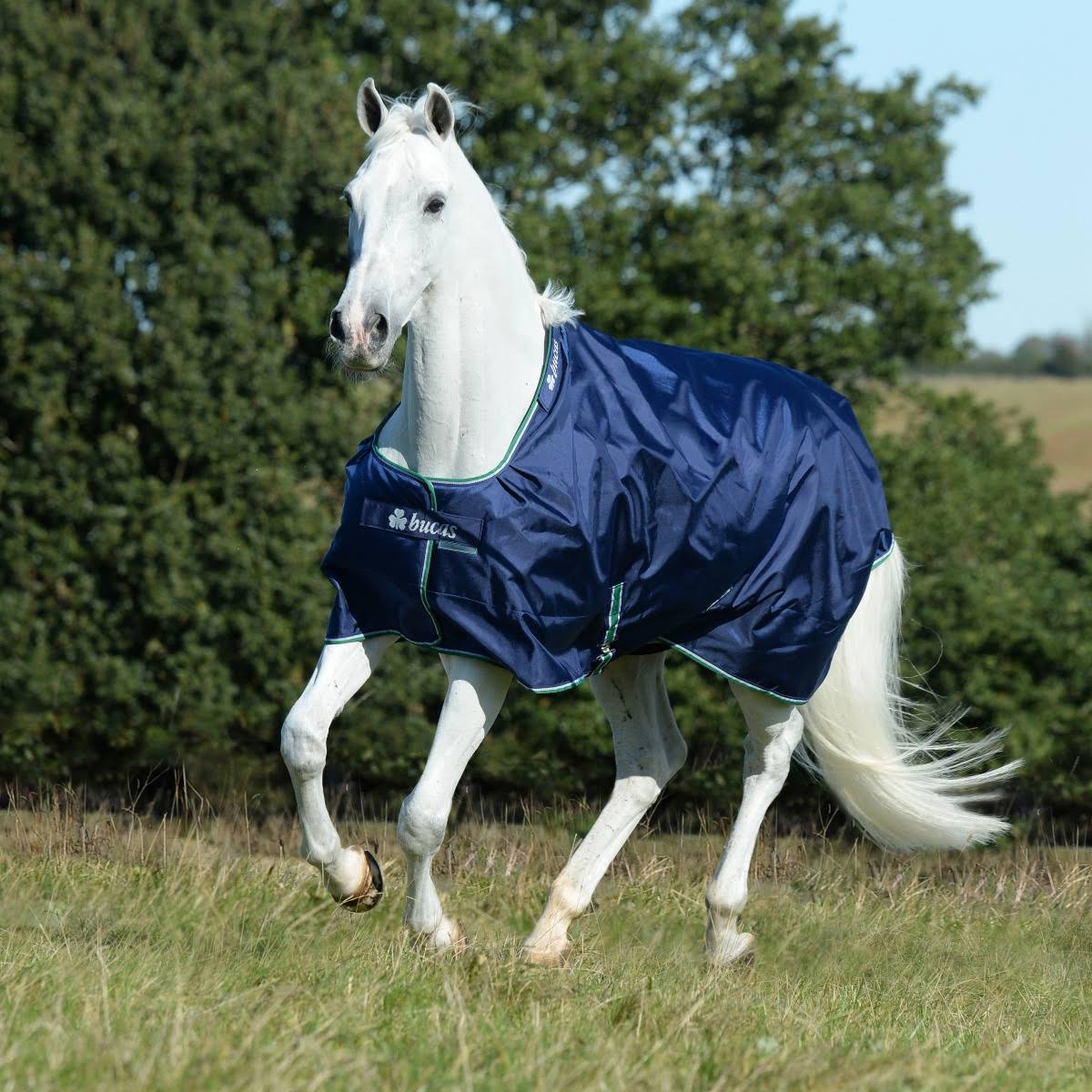 Blue Smartex Extra P301210