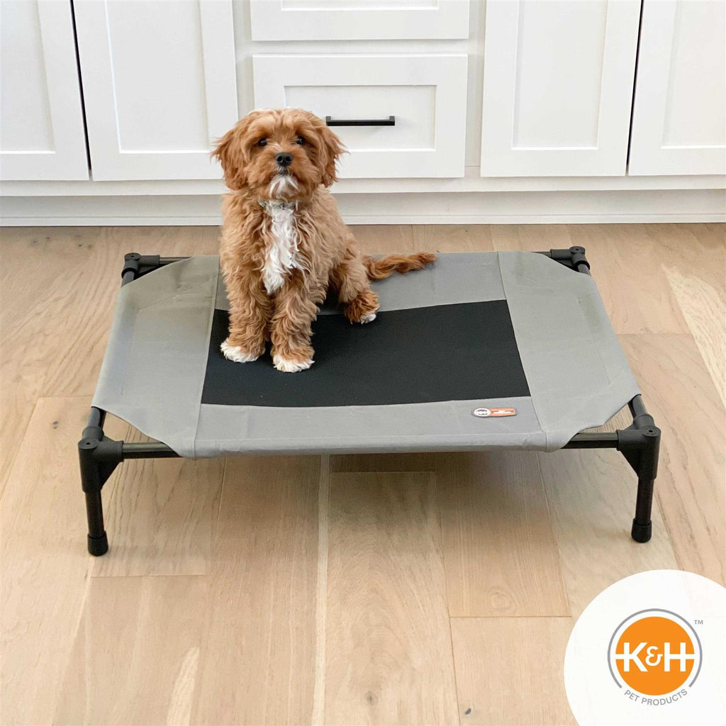 Elevated Pet Bed Y5484