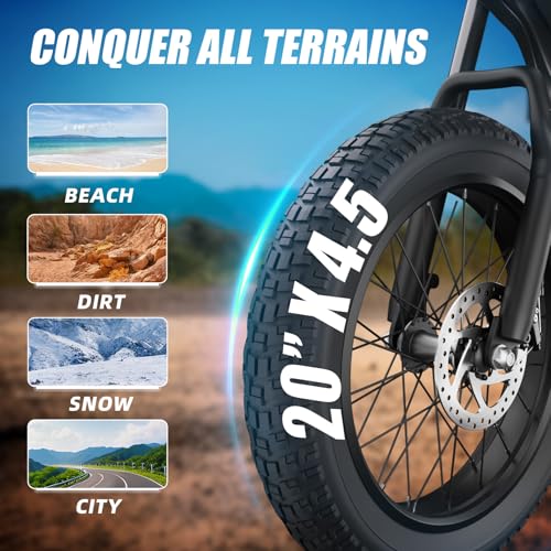 20" Fat Tire Electric Bike with Peak 1200W Motor, 48V 15A Battery, 7-Speed, Dual Disc Brakes B95649