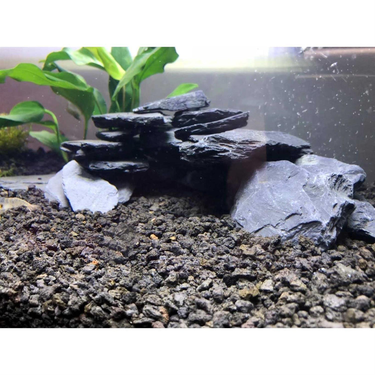 Natural Slate Stone 1 to 3 inch Rocks O238