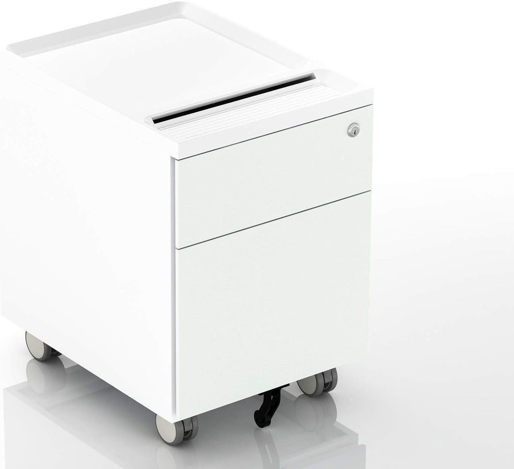 2-Drawer Mobile Filing Cabinet with Lock and Casters T819
