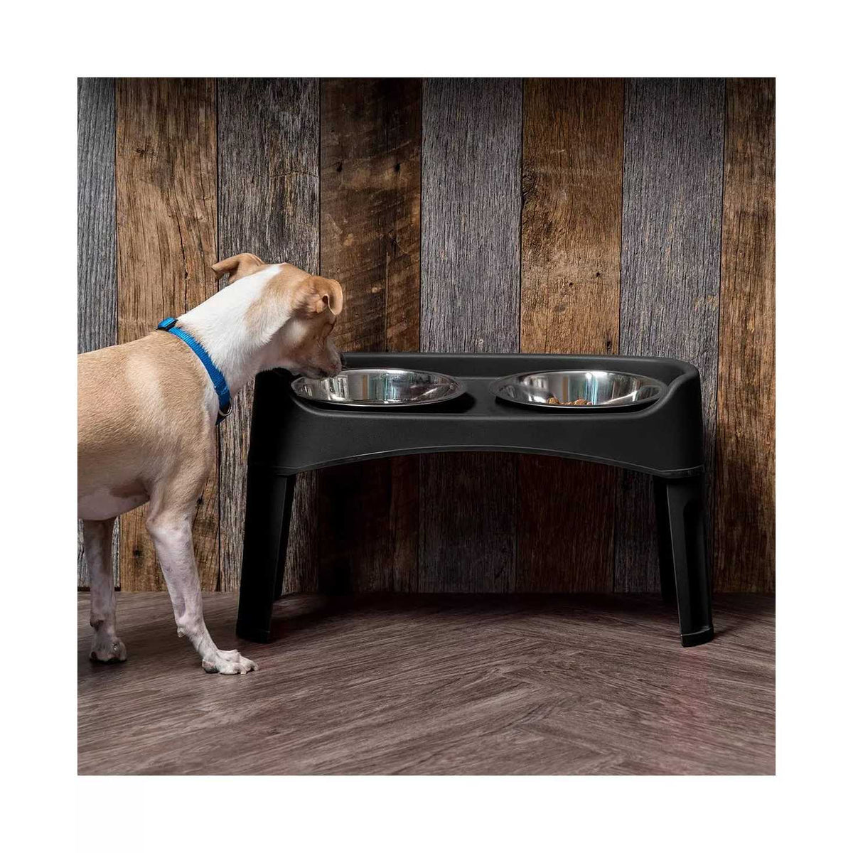 12 inch Elevated Dog Bowls with 2 Qt Stainless Steel Bowls B173