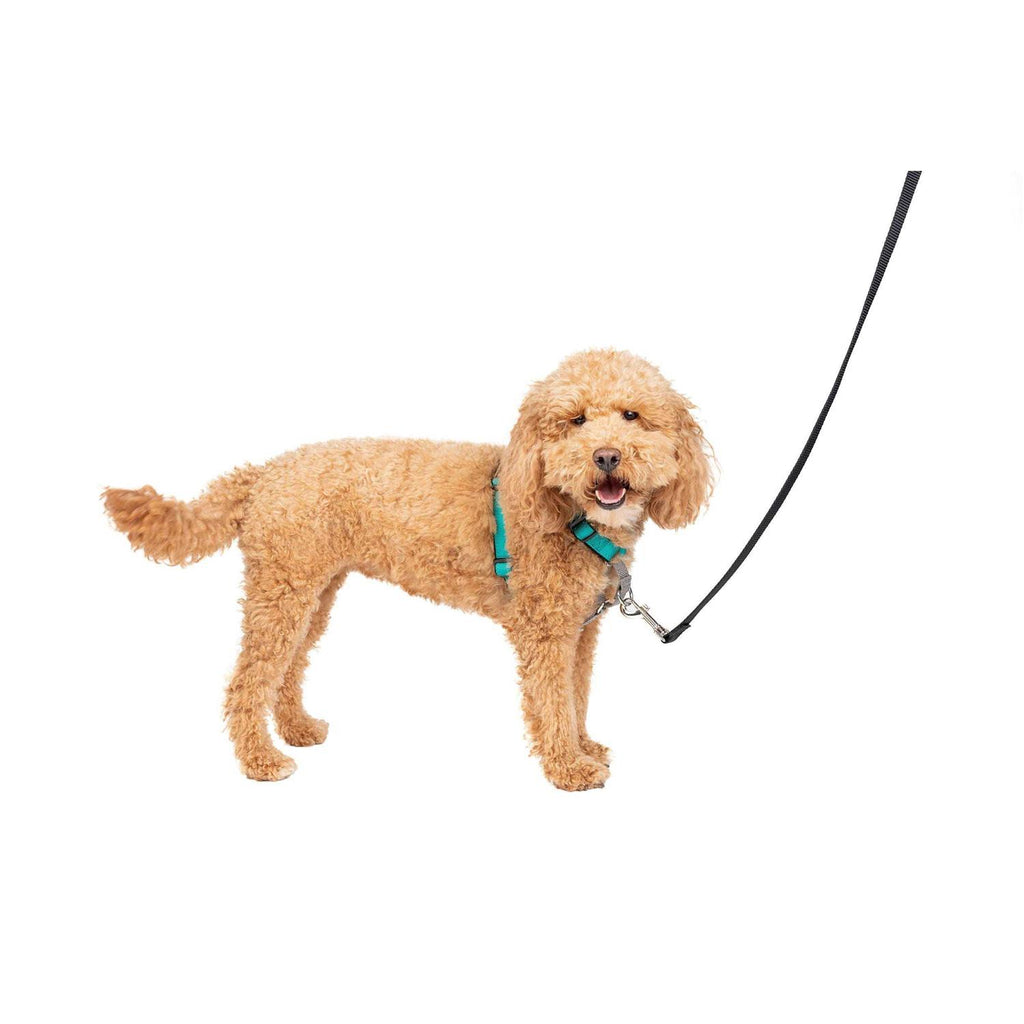 3 in 1 Harness K585