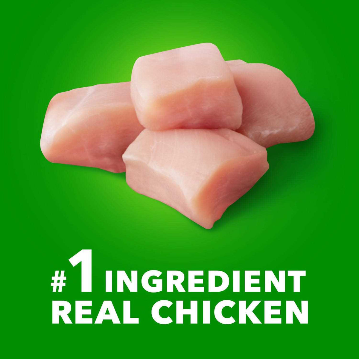 Chicken Dry Dog Food Y11874