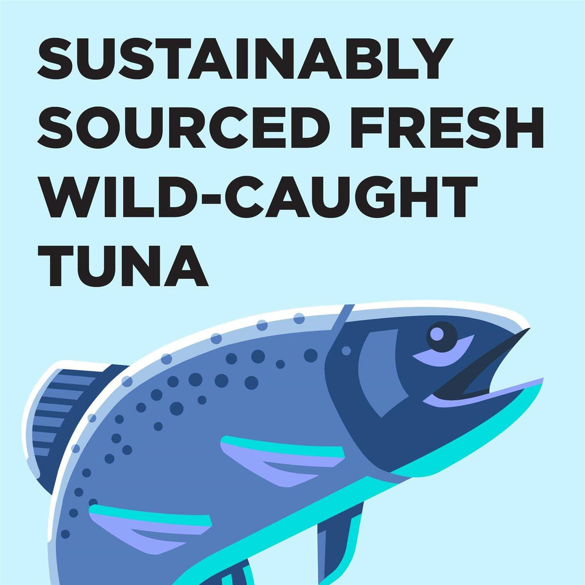 Tuna Recipe Cat Food O271