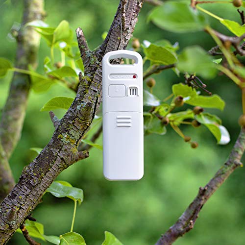 Home Weather Station with Vertical Full-Color Display X46798