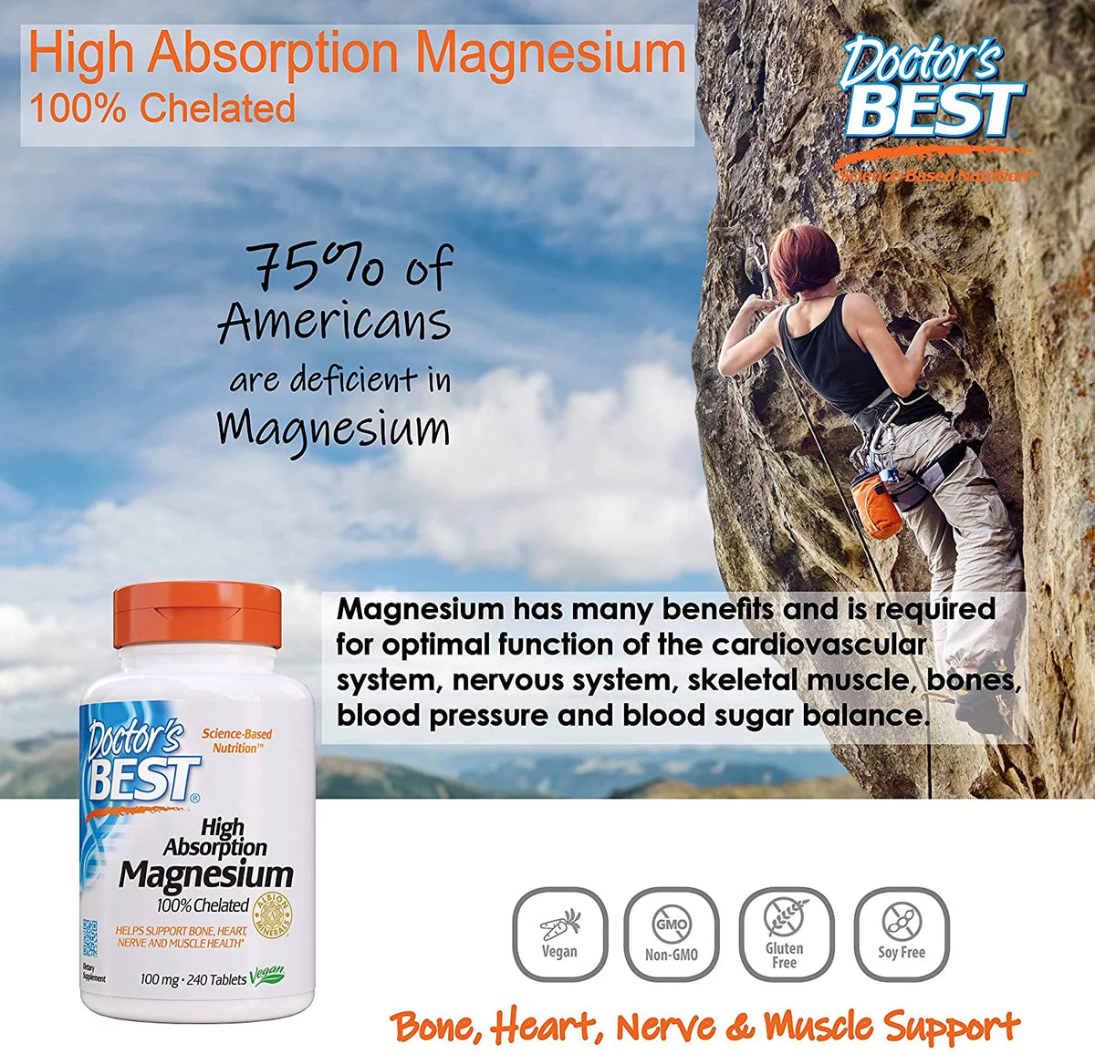 High Absorption Magnesium Multivitamins 100 mg, 240 Ct. Tablets F56504