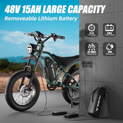 20" Fat Tire Electric Bike with Peak 1200W Motor, 48V 15A Battery, 7-Speed, Dual Disc Brakes B95649