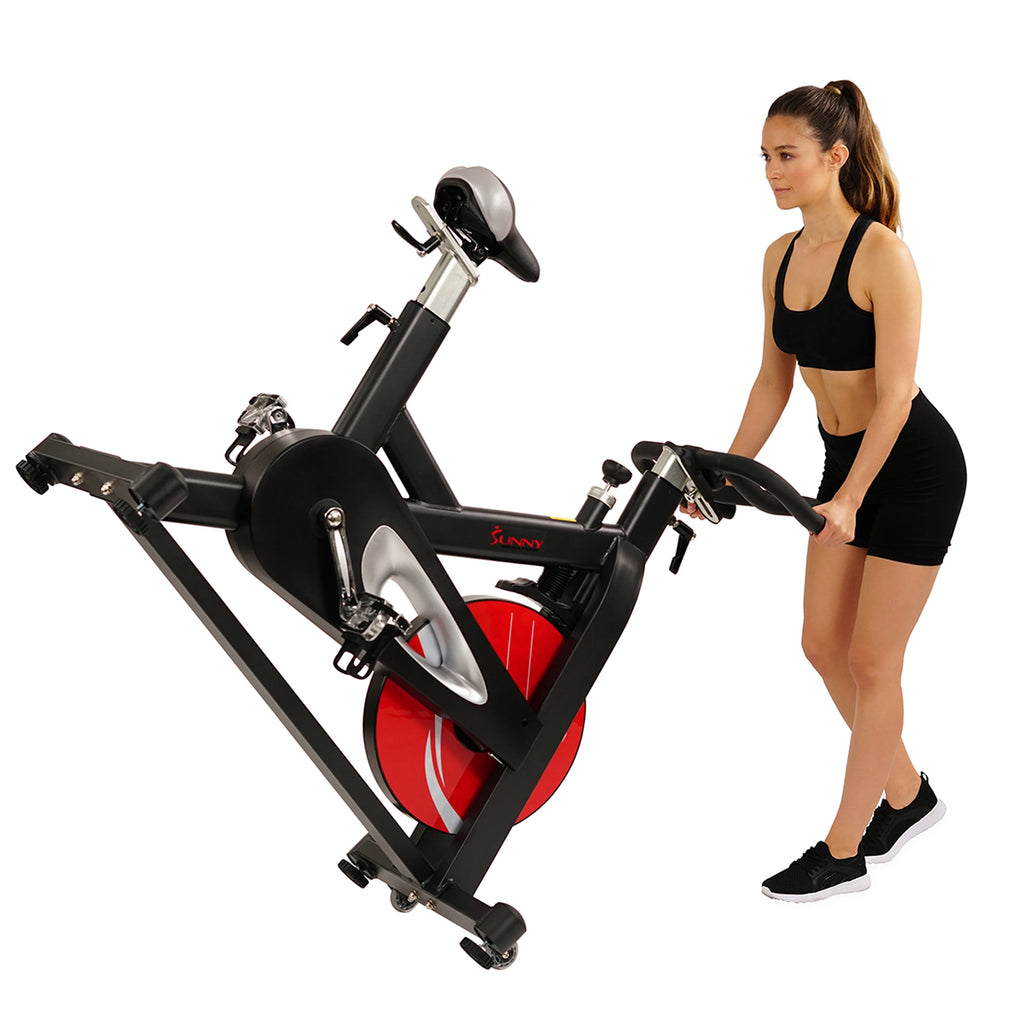 Indoor Cycling Exercise Bike E991118