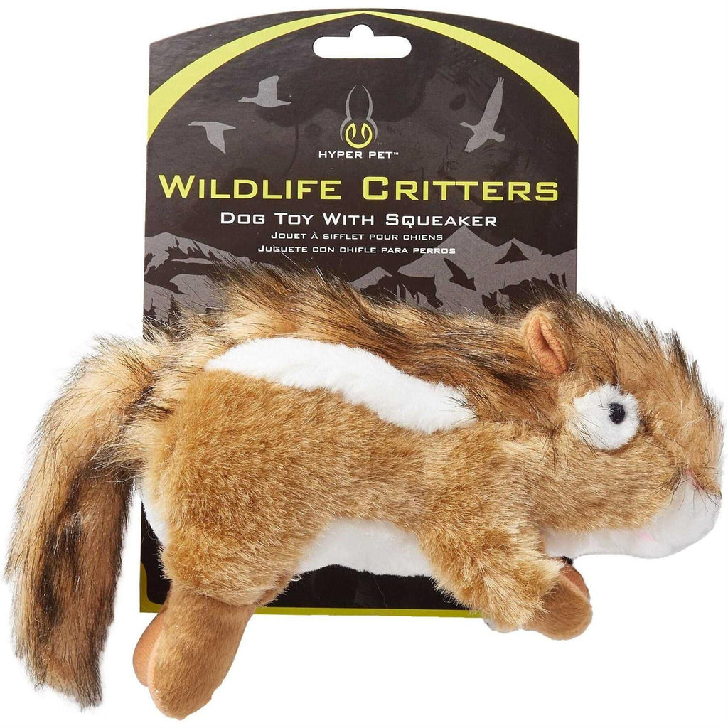 Dog Wildlife Chipmunk X362122