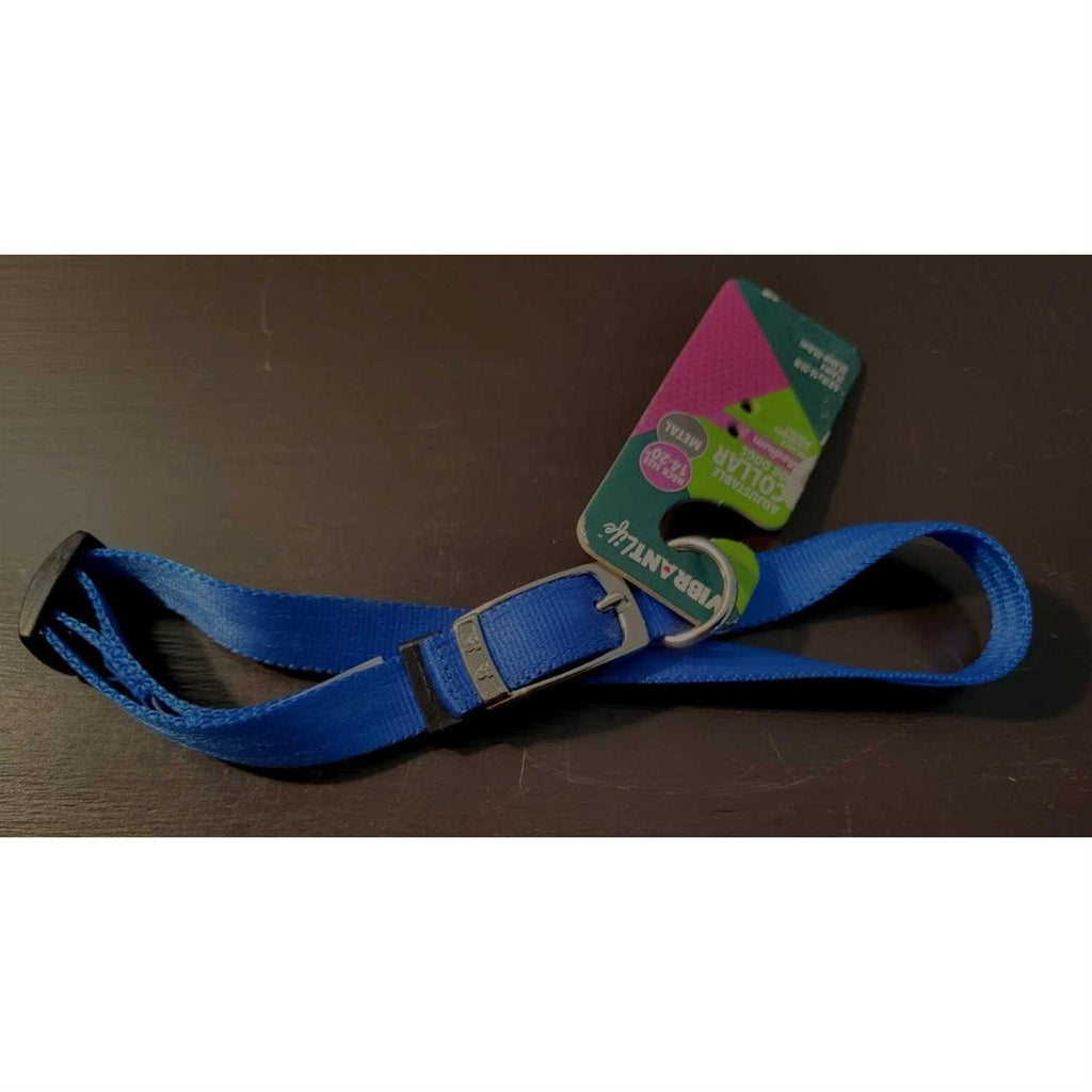 Solid Dog Collar with Metal Buckle R415666