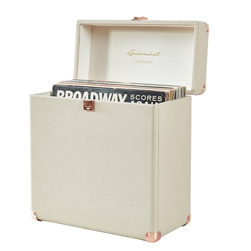 Vinyl Record Storage and Carrying Case, Holds 30 Albums D964929