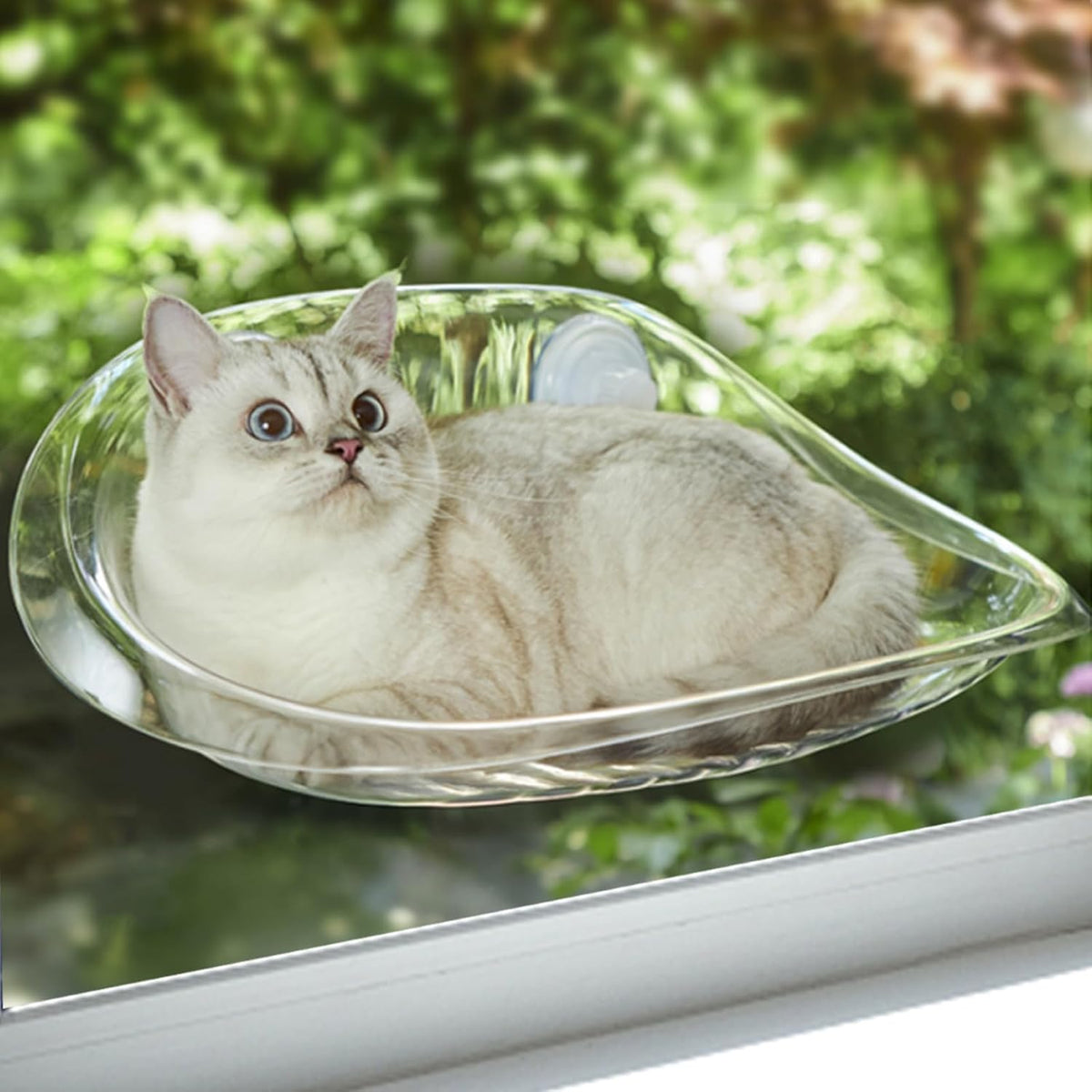 Cat Window Perch A68833