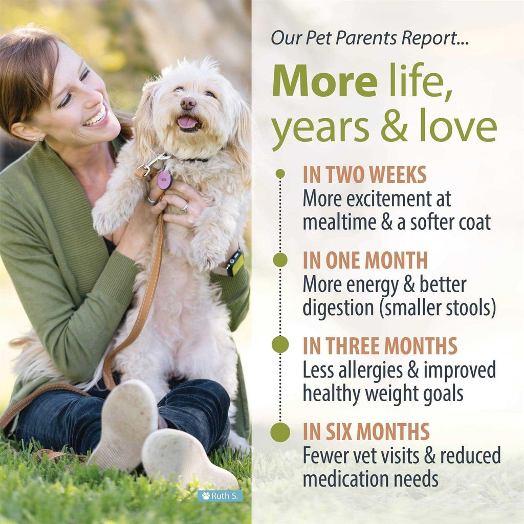 Low Protein Diet Pet Supplies N609