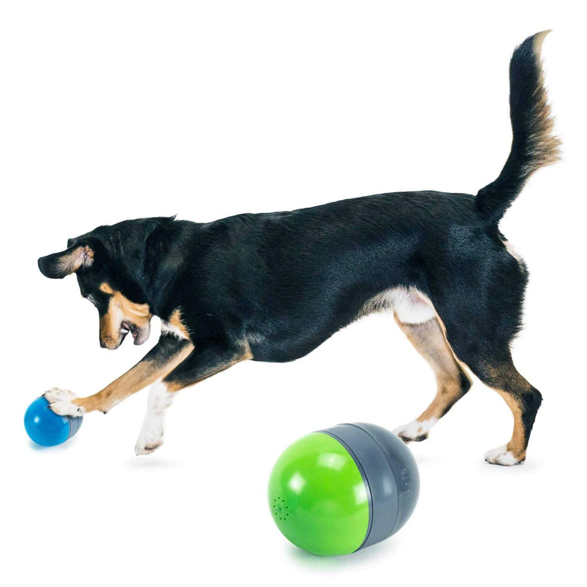 Electronic Dog Toy G856