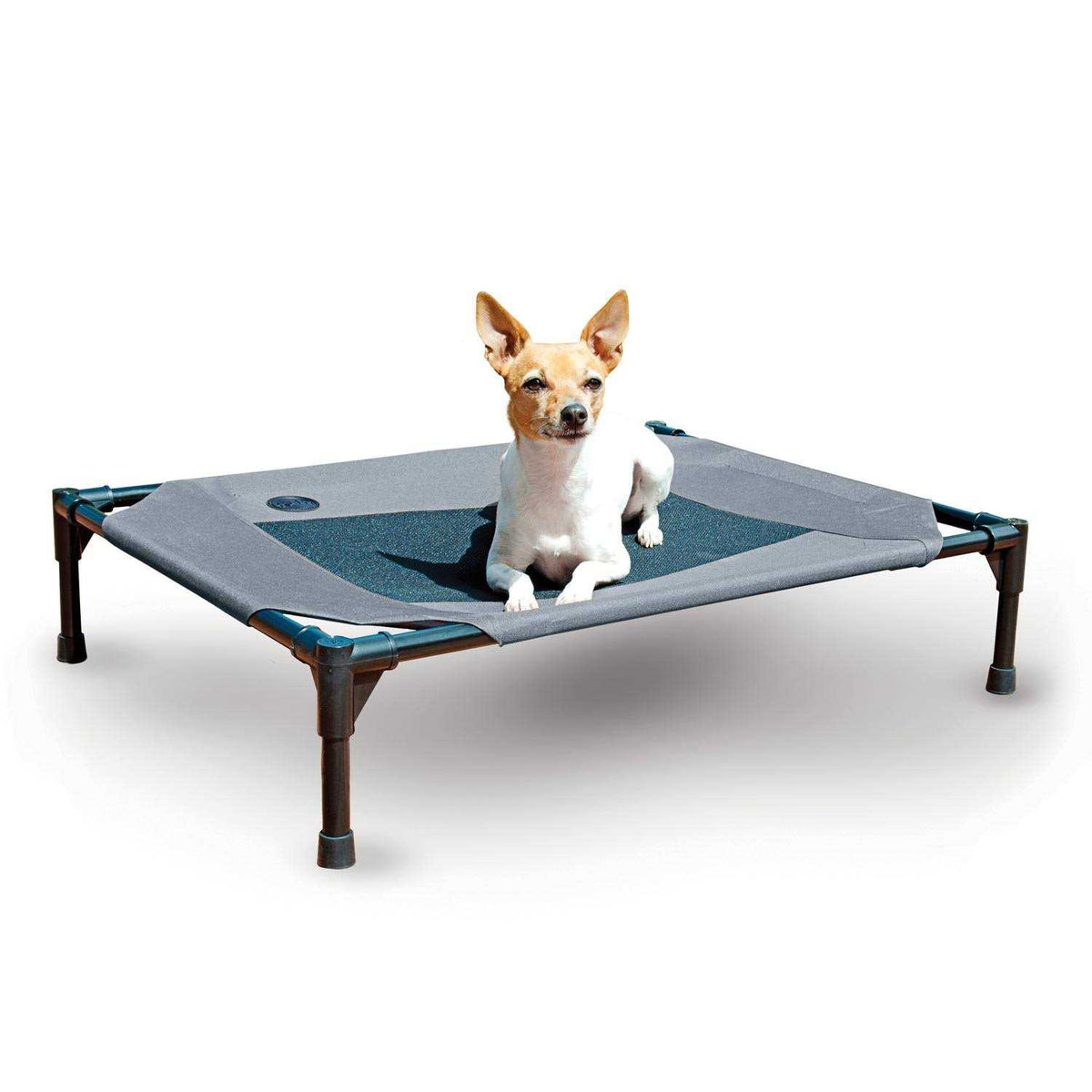 Elevated Pet Bed Y5484