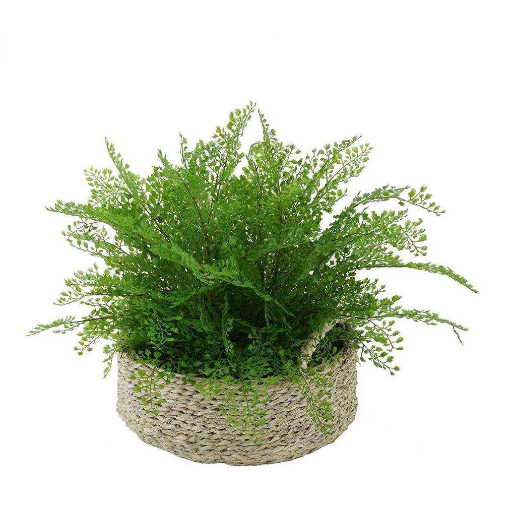 Faux Maidenhair Fern in Seagrass Tray Basket D310