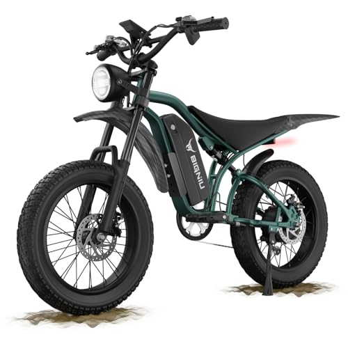 20" Fat Tire Electric Bike with Peak 1200W Motor, 48V 15A Battery, 7-Speed, Dual Disc Brakes B95649