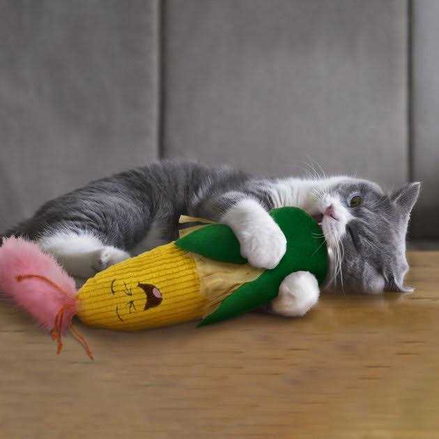 Crinkle Kicker Catnip Cat Toy C116796
