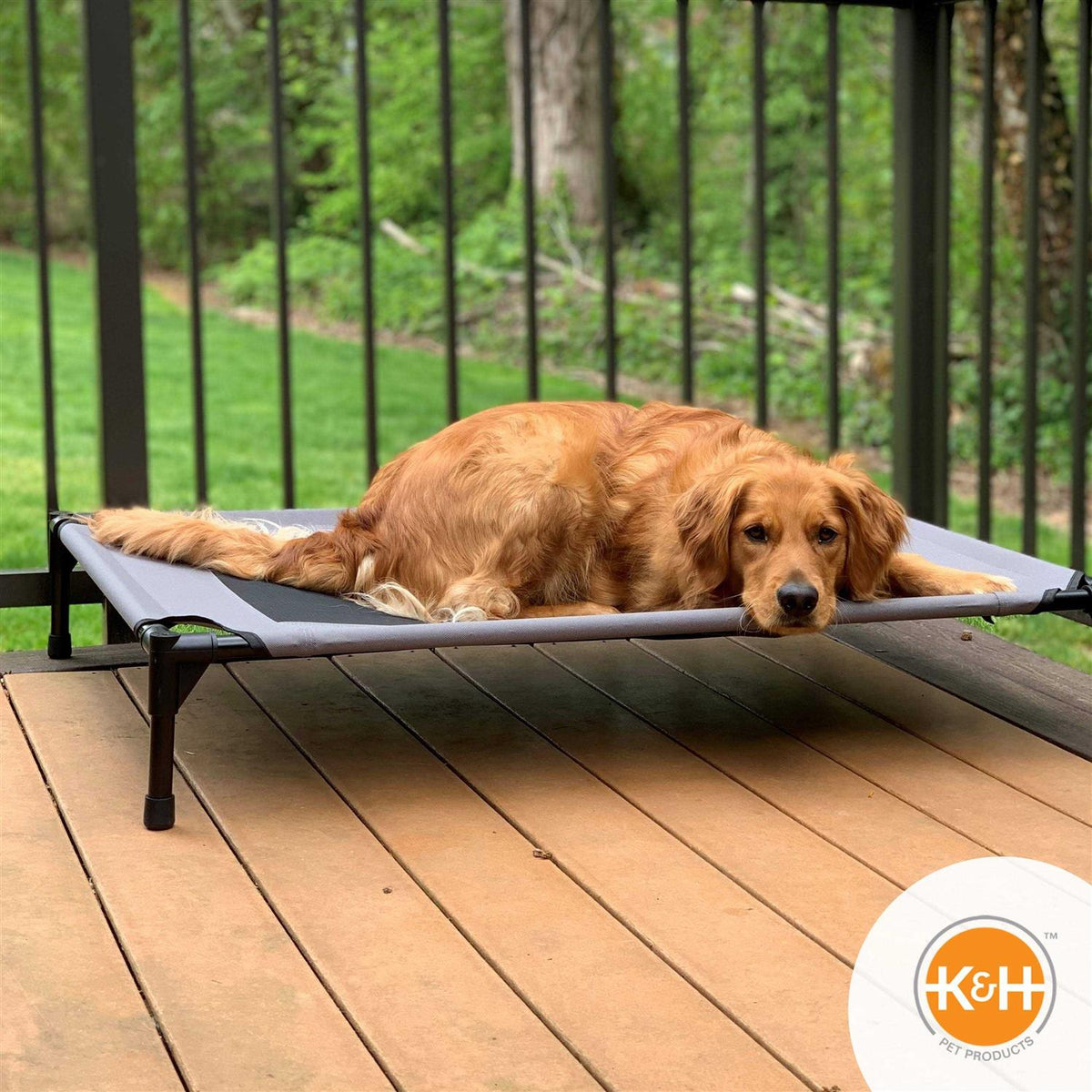 Elevated Pet Bed Y5484