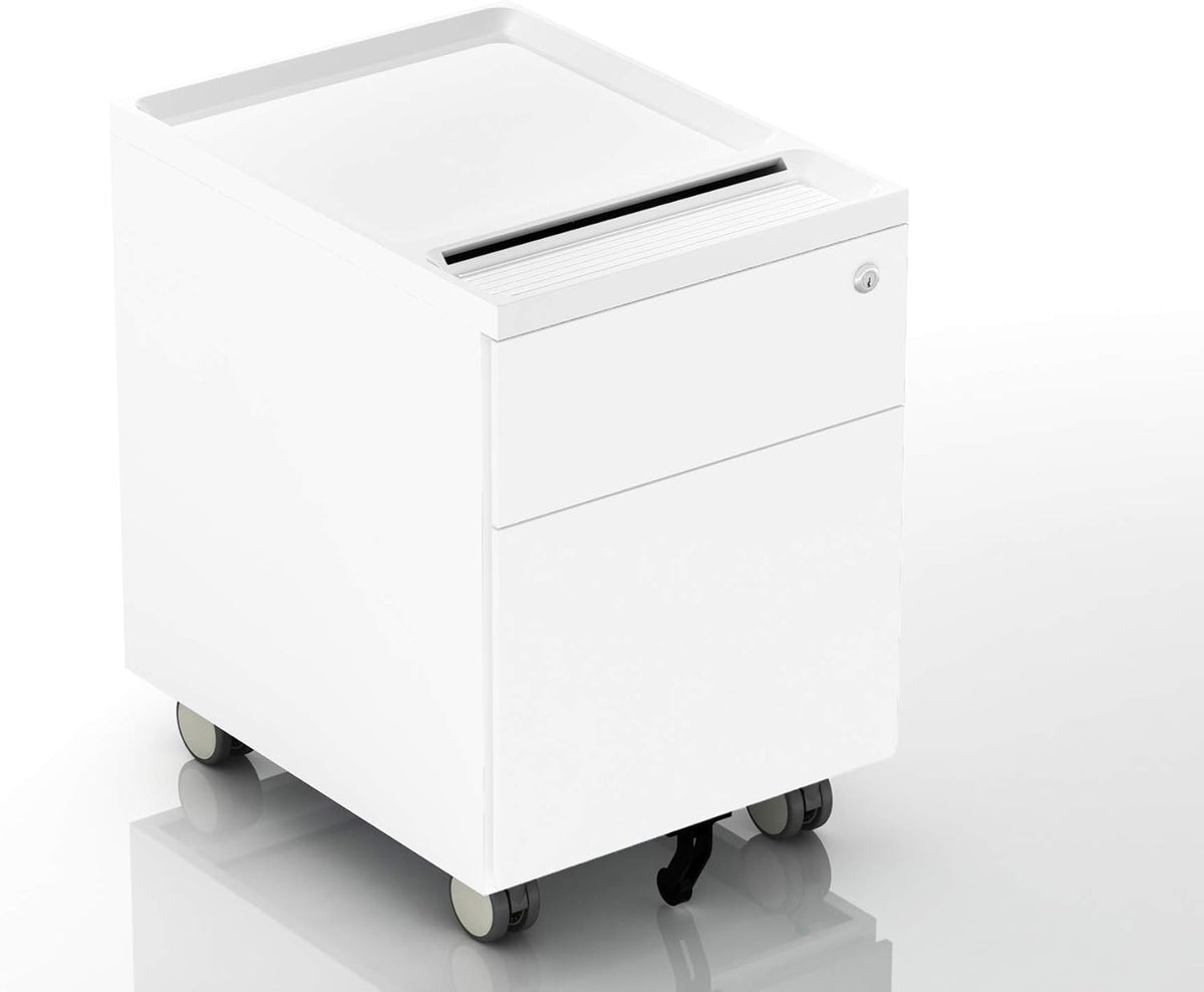 2-Drawer Mobile Filing Cabinet with Lock and Casters T819