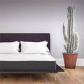 Full Encased Coil and Memory Foam Hybrid Mattress F6953
