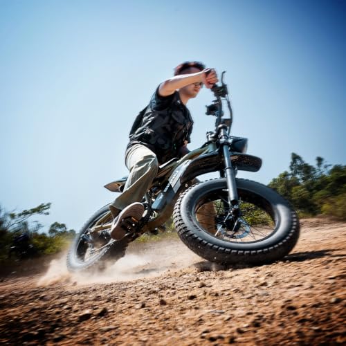 20" Fat Tire Electric Bike with Peak 1200W Motor, 48V 15A Battery, 7-Speed, Dual Disc Brakes B95649